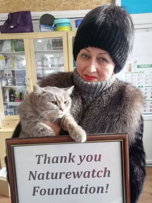 30 Кохацкая кошка