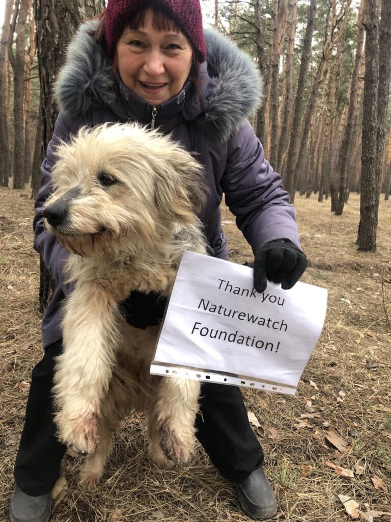 Талон Ж-02-12, Никитенко, ДокторВет