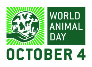 World Animal Day Mug Competition Winner for 2022! 3 world animal day October 4