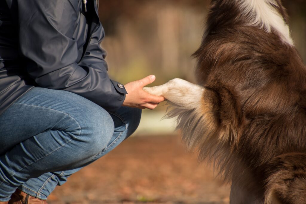 other ways to help naturewatch foundation