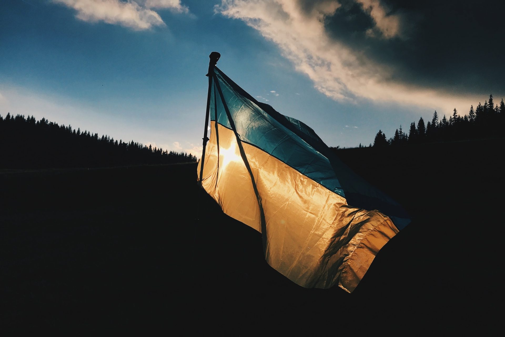 What's new 25 max kukurudziak qbc3Zmxw0G8 unsplash