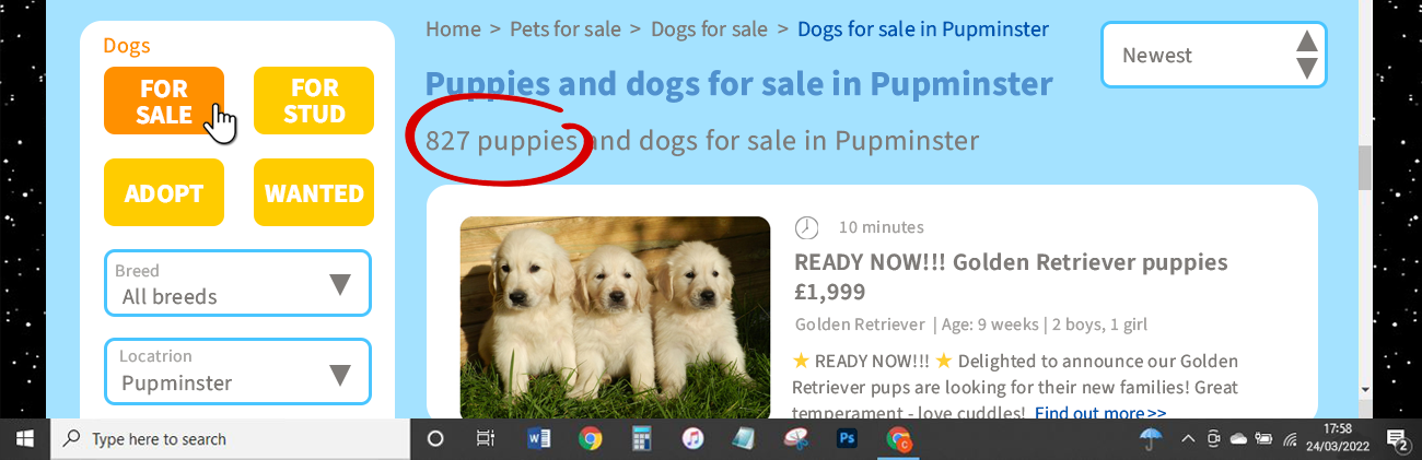 dogs and puppies for sale in Pupminster on fictitious website Pet Peddler