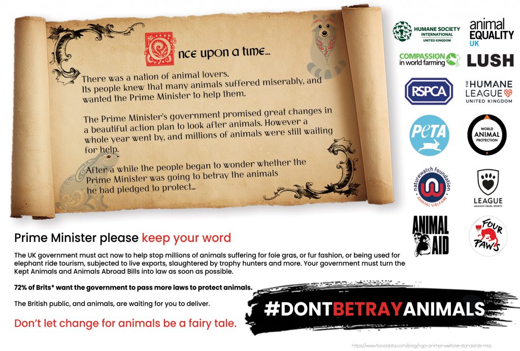 Logos of charities in the #Dont Betray Animals coalition