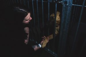 rescued dog in cage holding human hand