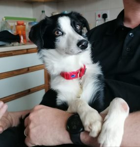 Wilbur's story: The devastating impact of sensory neuropathy 2 IMG 20220531 WA0003