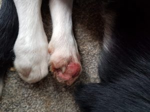 Wilbur's story: The devastating impact of sensory neuropathy 1 IMG 20220531 WA0007