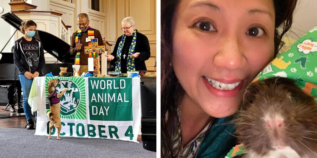 World Animal Day 2022 events blessing in Massachusetts USA and and guinea pig event Victoria, AUSTRALIA