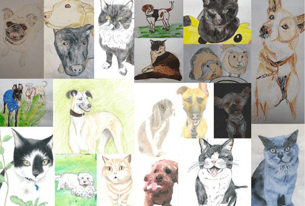 Not so 'purrfect' pet 'pawtraits' by local charity raise money for Cheltenham Animal Shelter 1 Pet portrait montage for Cheltenham Animal Shelter