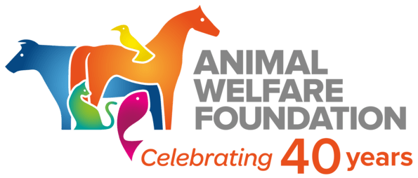 awf 40years