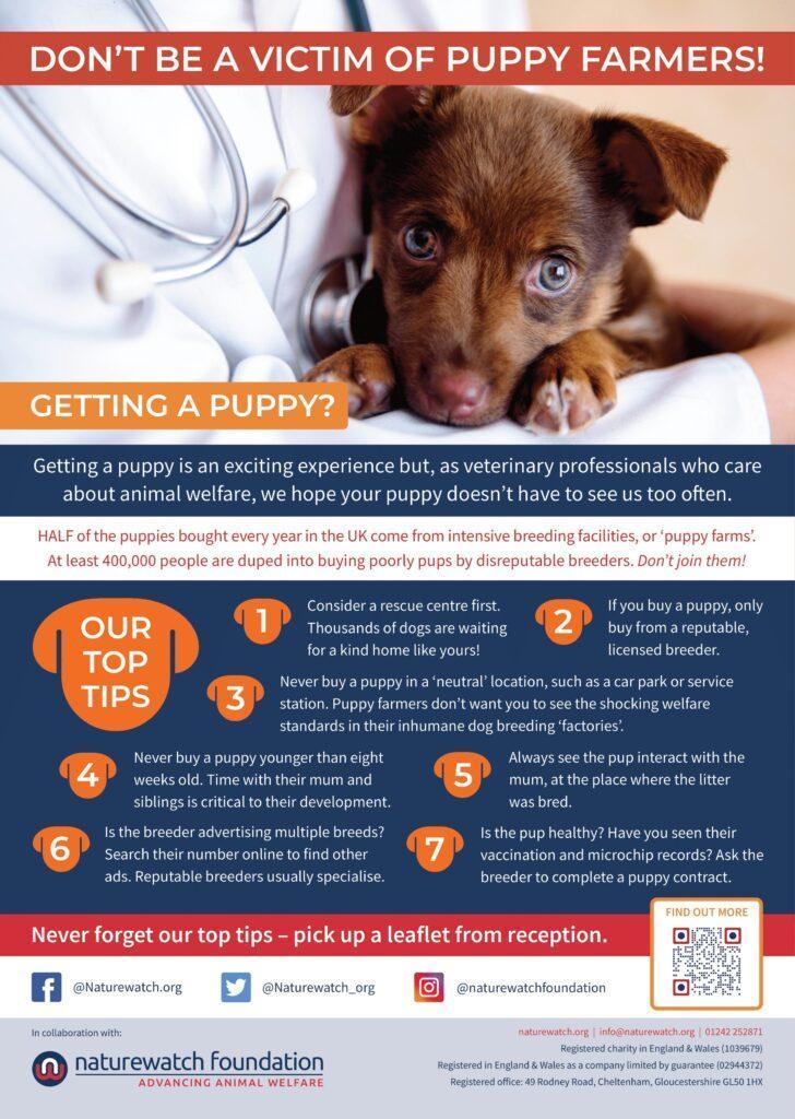puppy farms vets poster