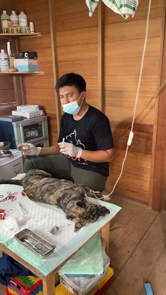 Not one but three World Animal Day grant winners are announced! 2 Jakarta Animal Aid Network vet operating on stray animal