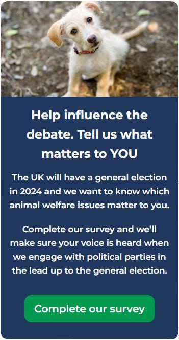 Image of survey for illustrative purposes only
