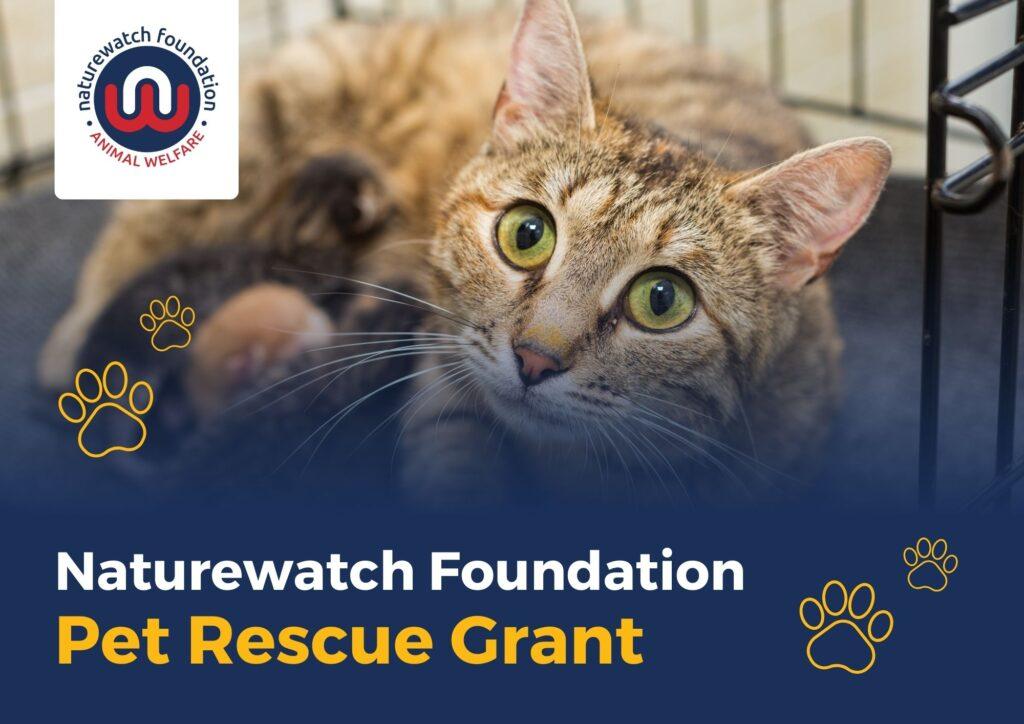 Pet Rescue Grant | Naturewatch Foundation