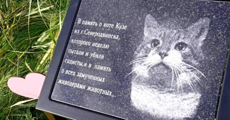 The Link: animal cruelty and human violence 2 Kuzi the cat's stone monument.
