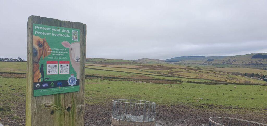 Operation Recall - a week of action for farm animals and dogs! 2 An image of our OP Recall metal sign on a post in a large green field.