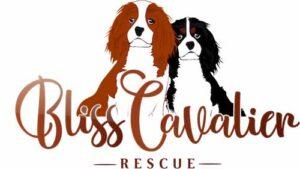 Bliss Cavalier Rescue's logo, two cavalier dogs.