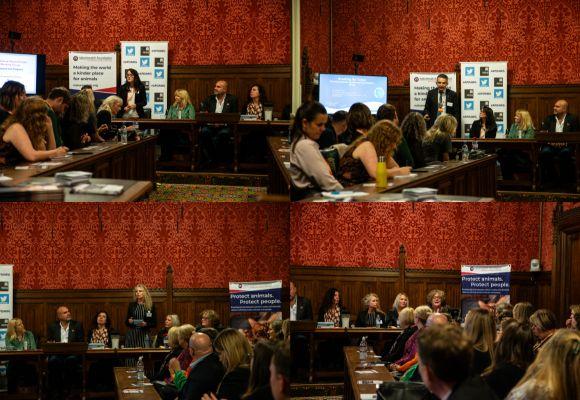 Together, for the animal victims of domestic abuse 2 Our speakers talking.