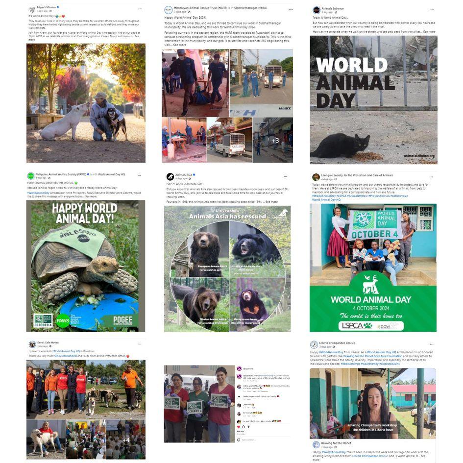 WAD socials grid