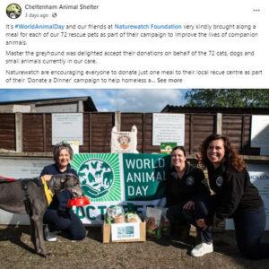 cheltenham animal shelter