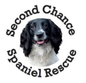 SCSR Logo 1 e1743576876329