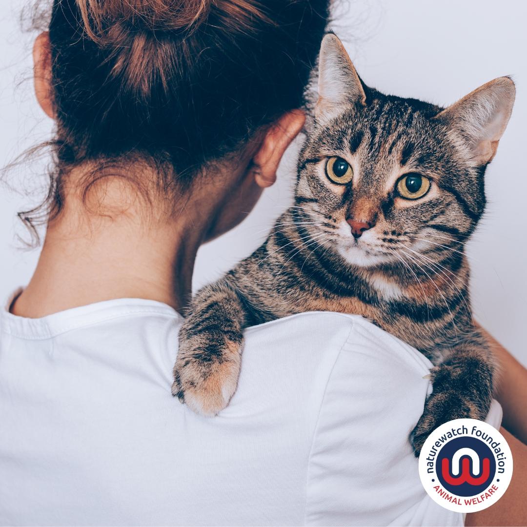 What's new 19 Pets need protecting too: Image shows a woman facing away from the camera holding a tabby cat on her shoulder.