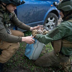 Two men in tactical gear kneel on the grass, gently placing a kitten into a pet carrier. A blue vehicle is in the background.