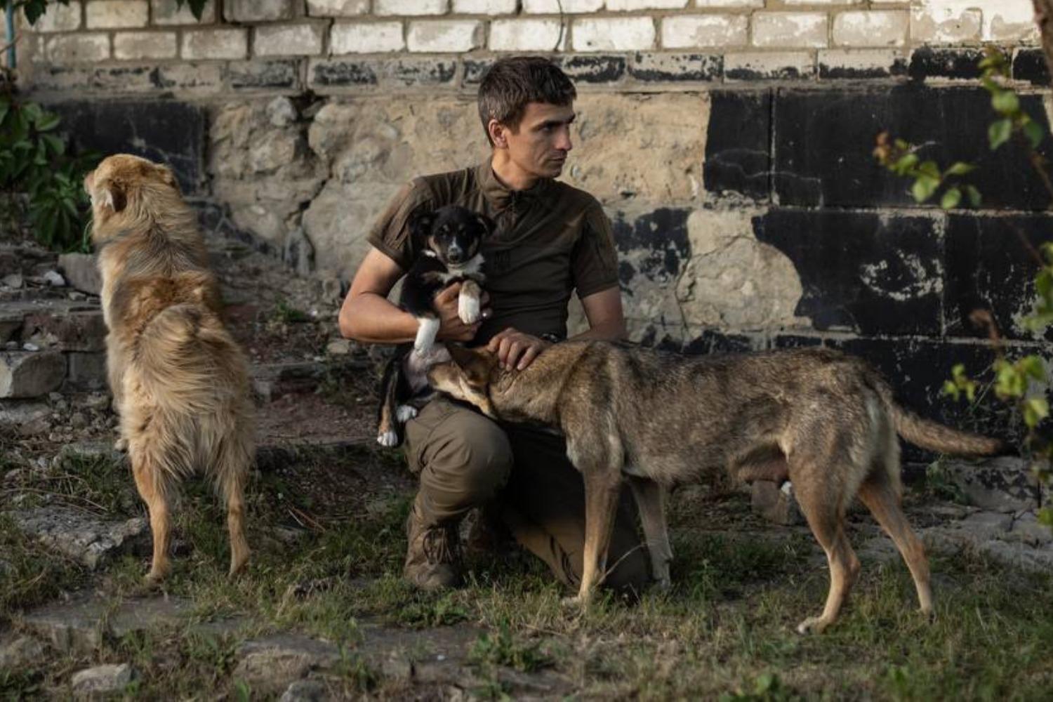  A man in olive clothing kneels on grass, cradling a small puppy. Two other dogs, one brown and one tan, stand beside him, one of them with their head in the man’s lap. In the background is a worn brick wall.