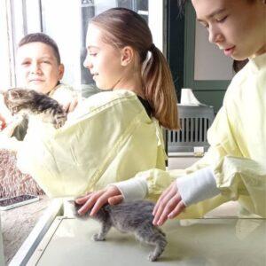In a clinical setting, three children in yellow lab overalls gently handle kittens near a window. They show curiosity and tenderness towards the animals.
