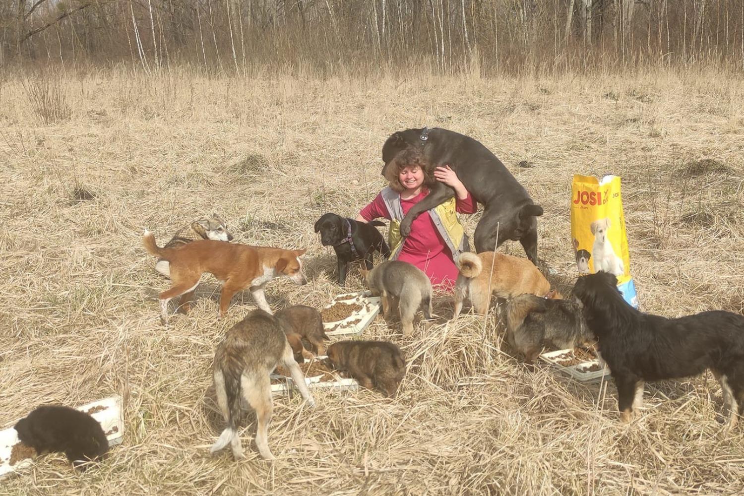 A smiling woman is surrounded by a dozen dogs in an open field. She is hugging a large dog who is leaning on her shoulder. Food trays and a large bag of dog food are nearby.