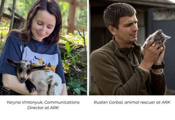 A split image showing: A woman in a navy shirt gently cradles a small brown and white goat, expressing tenderness and joy. They sit outdoors with greenery and wooden fencing in the background. And in the next image a man in a brown jacket gently holds a small gray kitten, looking at it affectionately. The outdoor setting in the background is blurred.