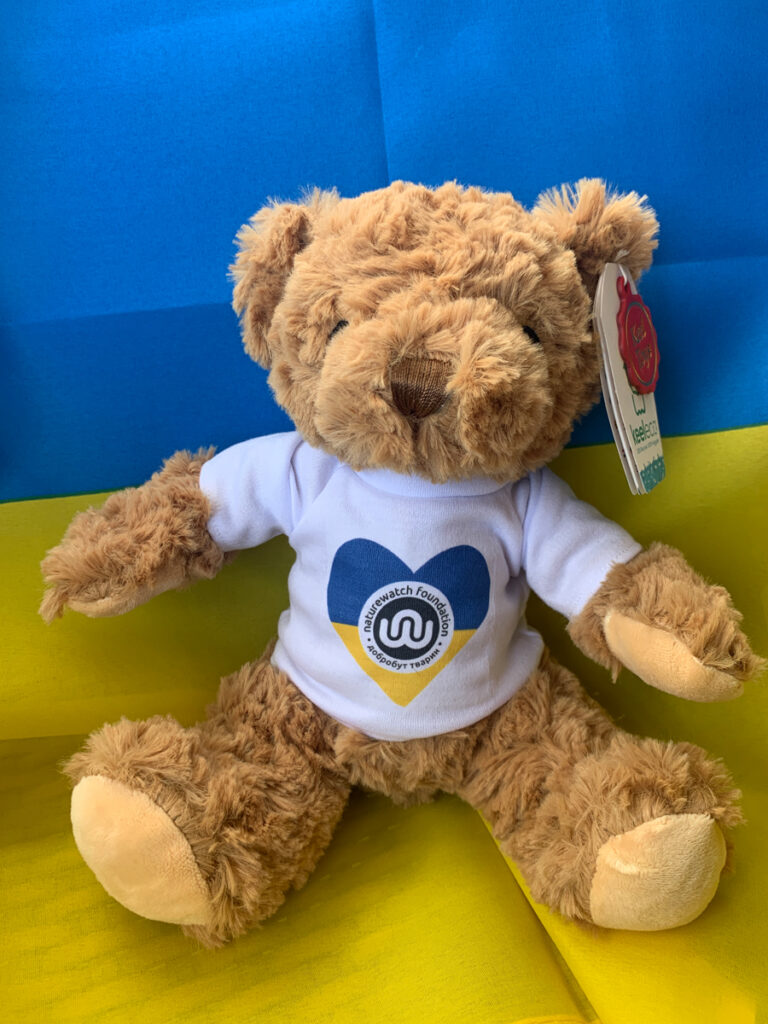 The war in Ukraine: How Naturewatch Foundation has been supporting animals in crisis 3 A brown fluffy teddy is sitting on a Ukrainian flag. The teddy is wearing a white t-shirt featuring a heart in the yellow and blue Ukrainian flag colours and a black Naturewatch Foundation animal welfare logo.