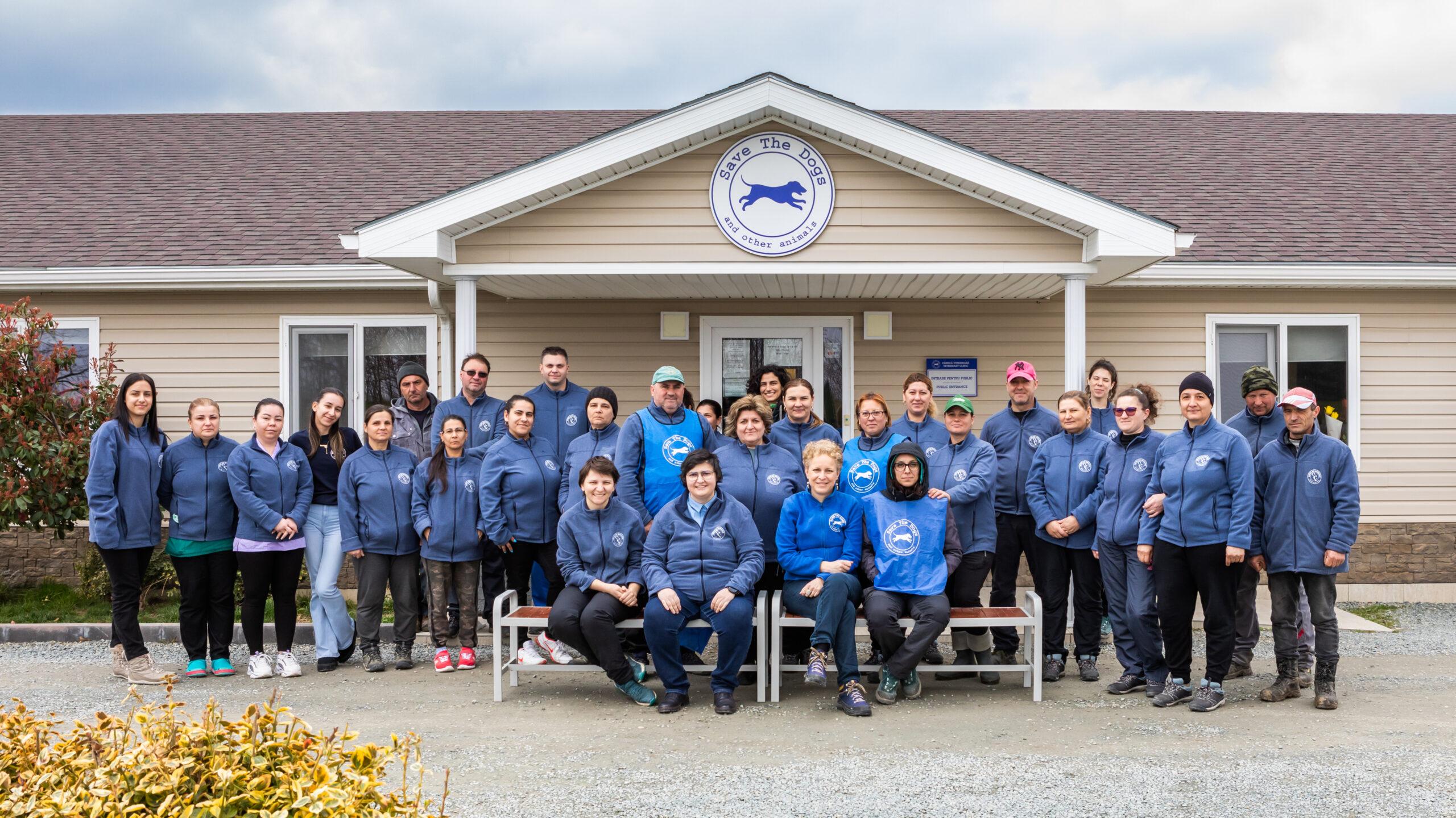 Team of Save the Dogs Romania scaled