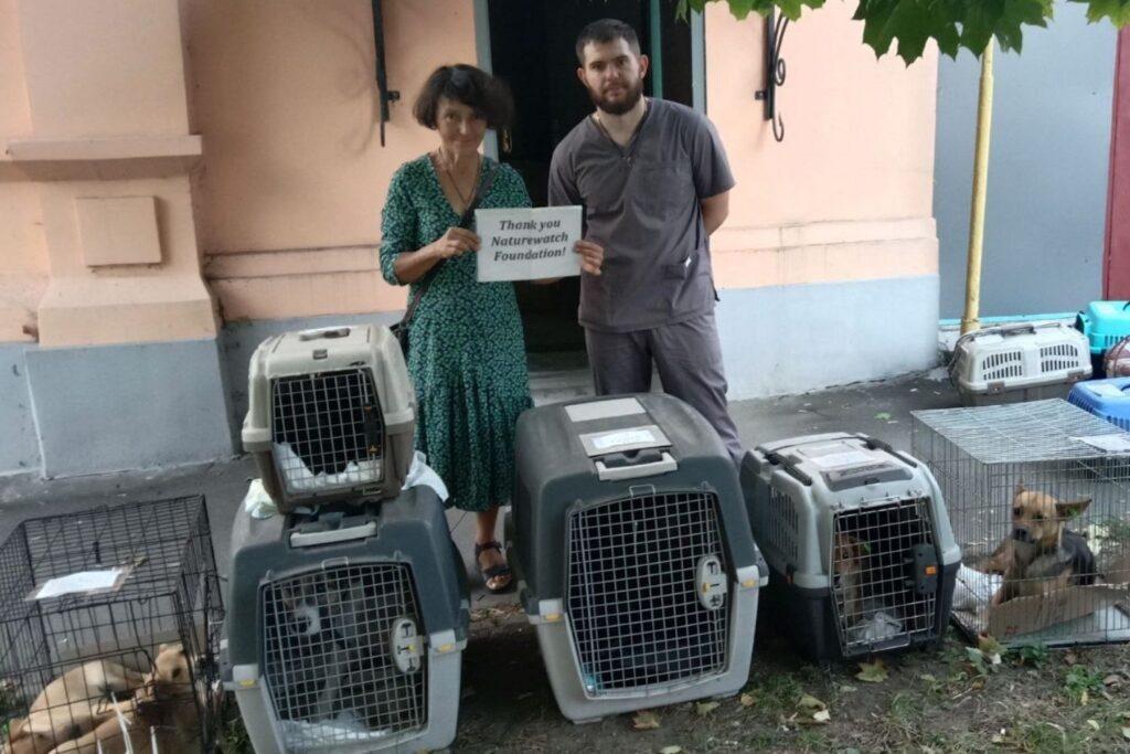 Spaying and neutering 1 A woman and a man, who’s wearing veterinary scrubs, stand by several pet carriers, holding a sign that reads "Thank you Naturewatch Foundation!" in an outdoor setting.