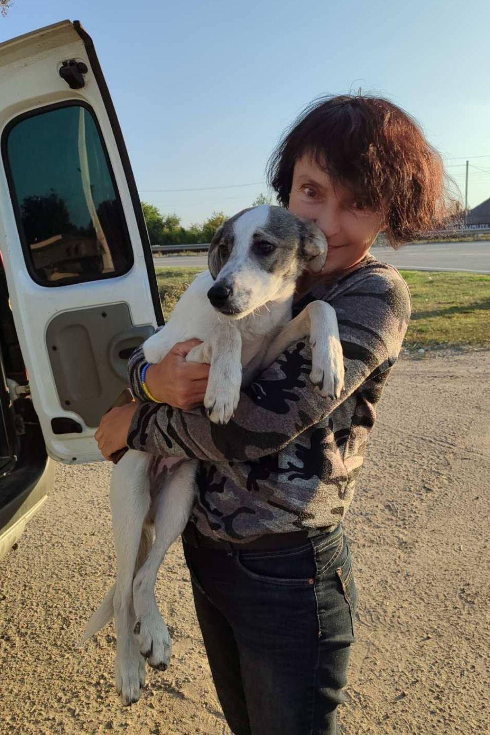 A smiling woman cuddles a brindle and white puppy next to the open rear door of a white van on a sunny day.