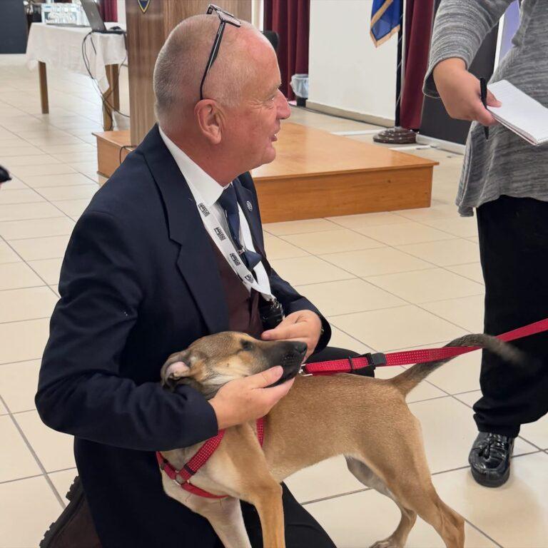 Mark, wearing a suit, kneels on the floor smiling as he pets a tan dog with a red hardness during a training event in Athens, Greece.