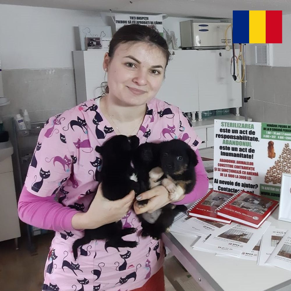 Savas Safe Haven &ndash; Romania 1000