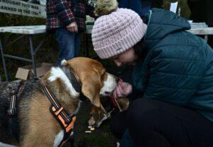 Kate our campaign manager face to face with a beagle, she is feeding him a treat and looking at him lovingly.
