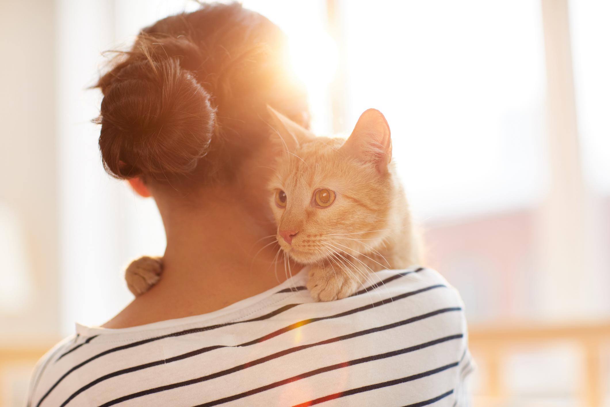 The Crimes You Never Hear About: Why Prevention Matters More Than Headlines 1 A ginger cat rests on a woman’s shoulder. The woman faces away from the camera with her hair in a bun and wearing a striped top.