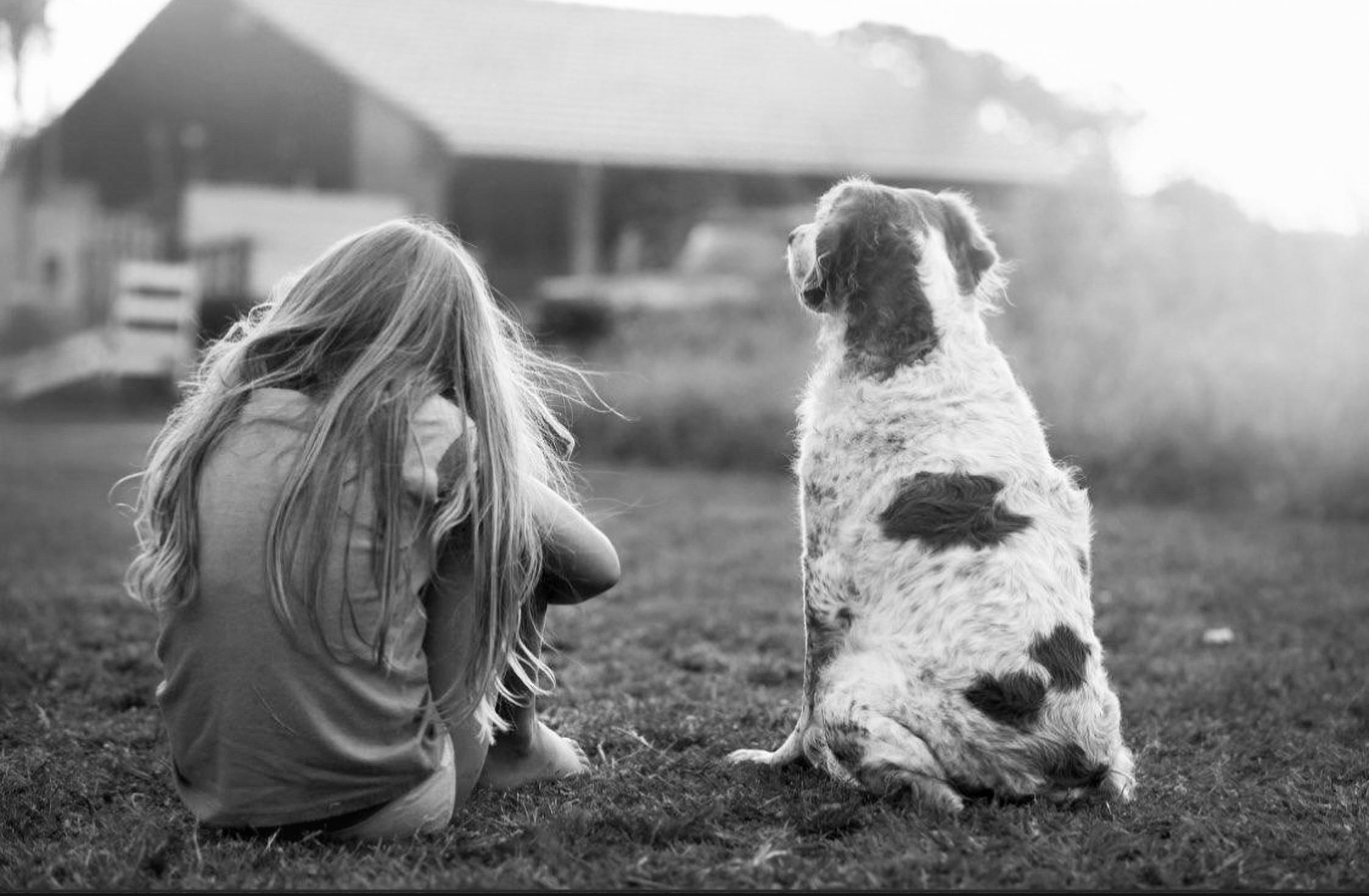 Purple Paw: Help us celebrate the special bond that we share with our pets 2 A young girl sits on the grass beside a dog, both looking out to a house in the distance. The image is in black-and-white.