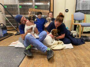 Photograph showing four people in blue scrubs sitting on a wooden floor holding and cuddling three small dogs inside a room with metal animal cages. One person holds a wooden sign reading "THE NEUTER PROJECT".