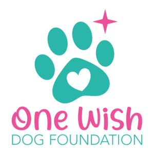 one wish logo final
