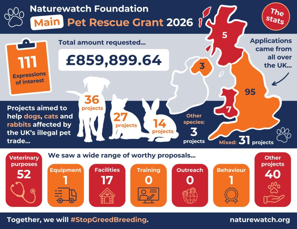 2026 Pet Rescue Grant MAIN infographic 2000 x 1500 JPG scaled 1