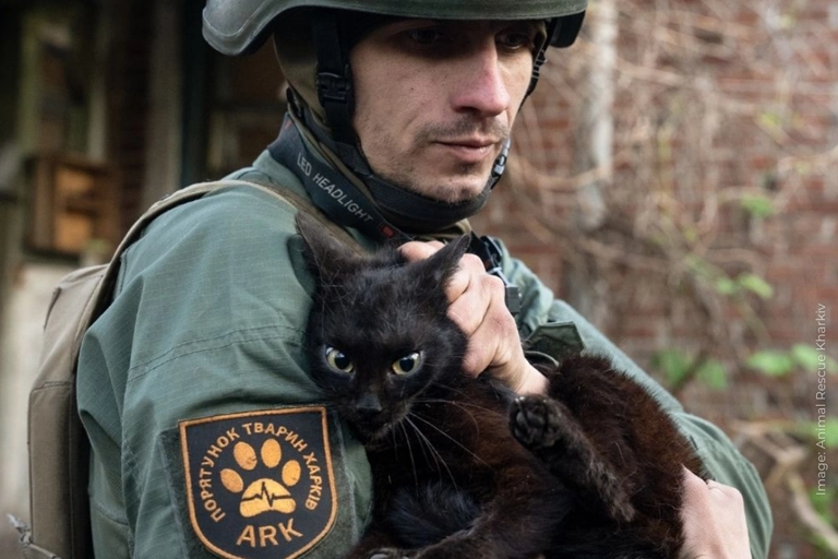 Alt text: A man in a military-style clothing gently holds a black cat. The uniform features a patch with a paw print and "ARK" text. The setting is outdoors.