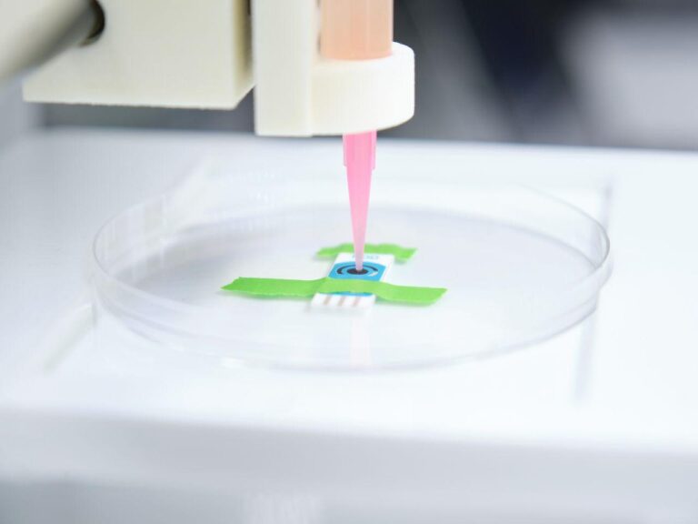 3d bioprinting