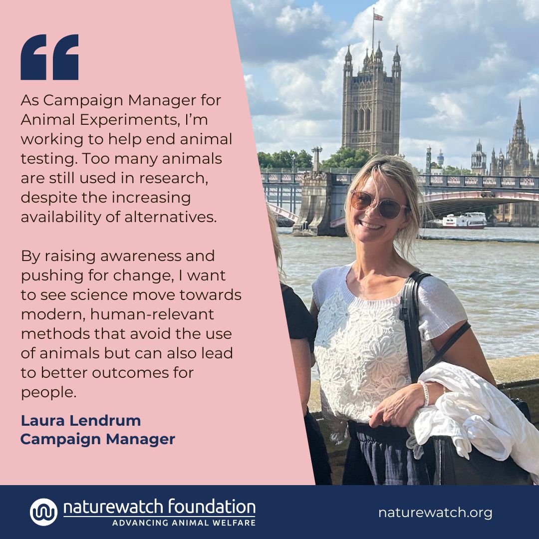 Laura Lendrum - Aninal Experiemtns Press quotes and pics