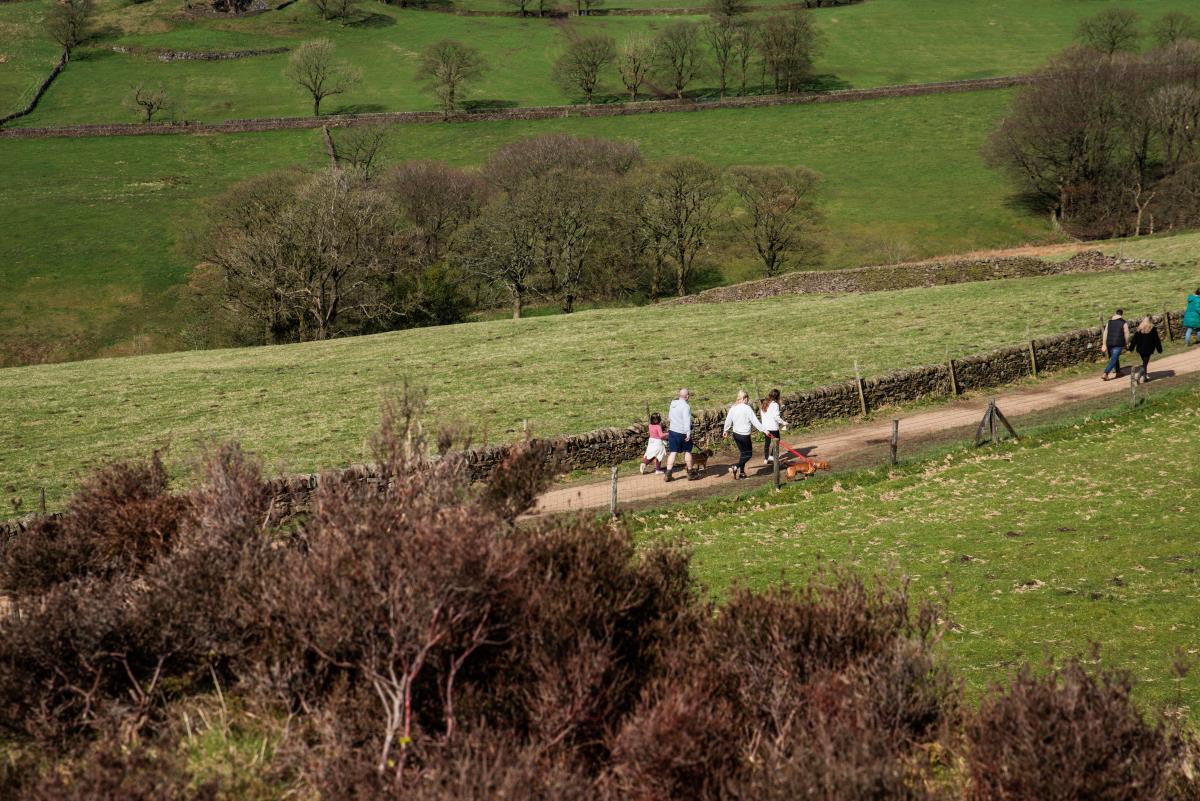 Op-recall-event-at-Teggs-Nose-Country-Park-2024-Walkers-with-dogs-on-leads-areial-shot.jpg