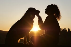 A silhouette of a woman and her dog.