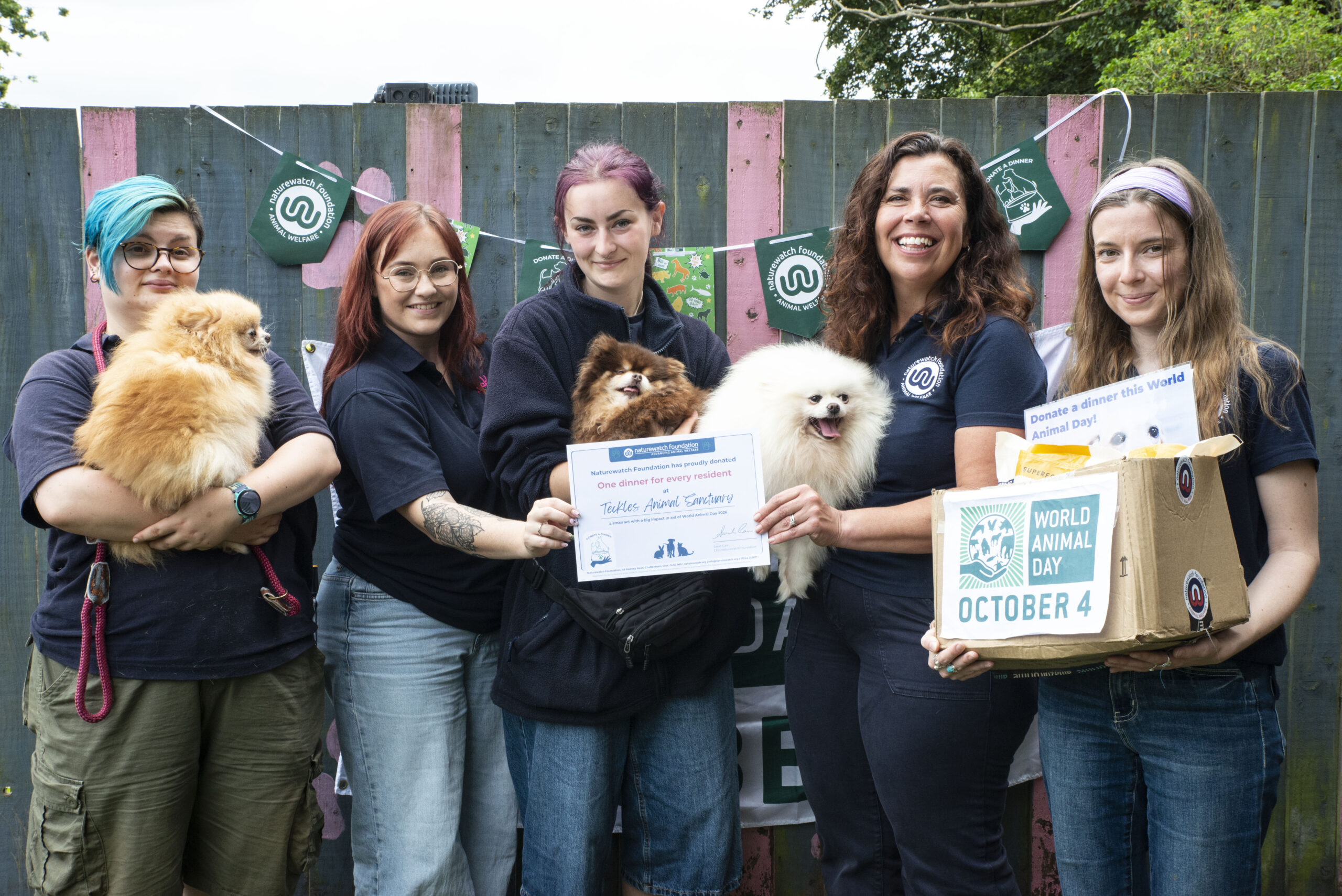 Five people from Naturewatch Foundation and Teckels Animal Sanctuary stand together outside, smiling with three fluffy pomeranians. One person holds a donation box and others hold campaign materials. Green bunting showing Naturewatch Foundation's logo hangs in the background. 