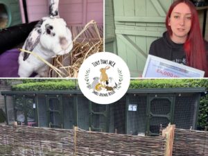 A collage showing a white and black rabbit eating hay, a woman holding a grant certificate, and a large outdoor animal enclosure. There is also a central logo that reads, Tiny Paws MCR Small Animal Rescue.