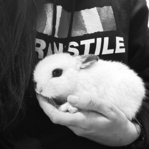 A person holds a small, fluffy white bunny in their hands, with the rabbit facing left against a black hoodie with white text in this monochrome photo.